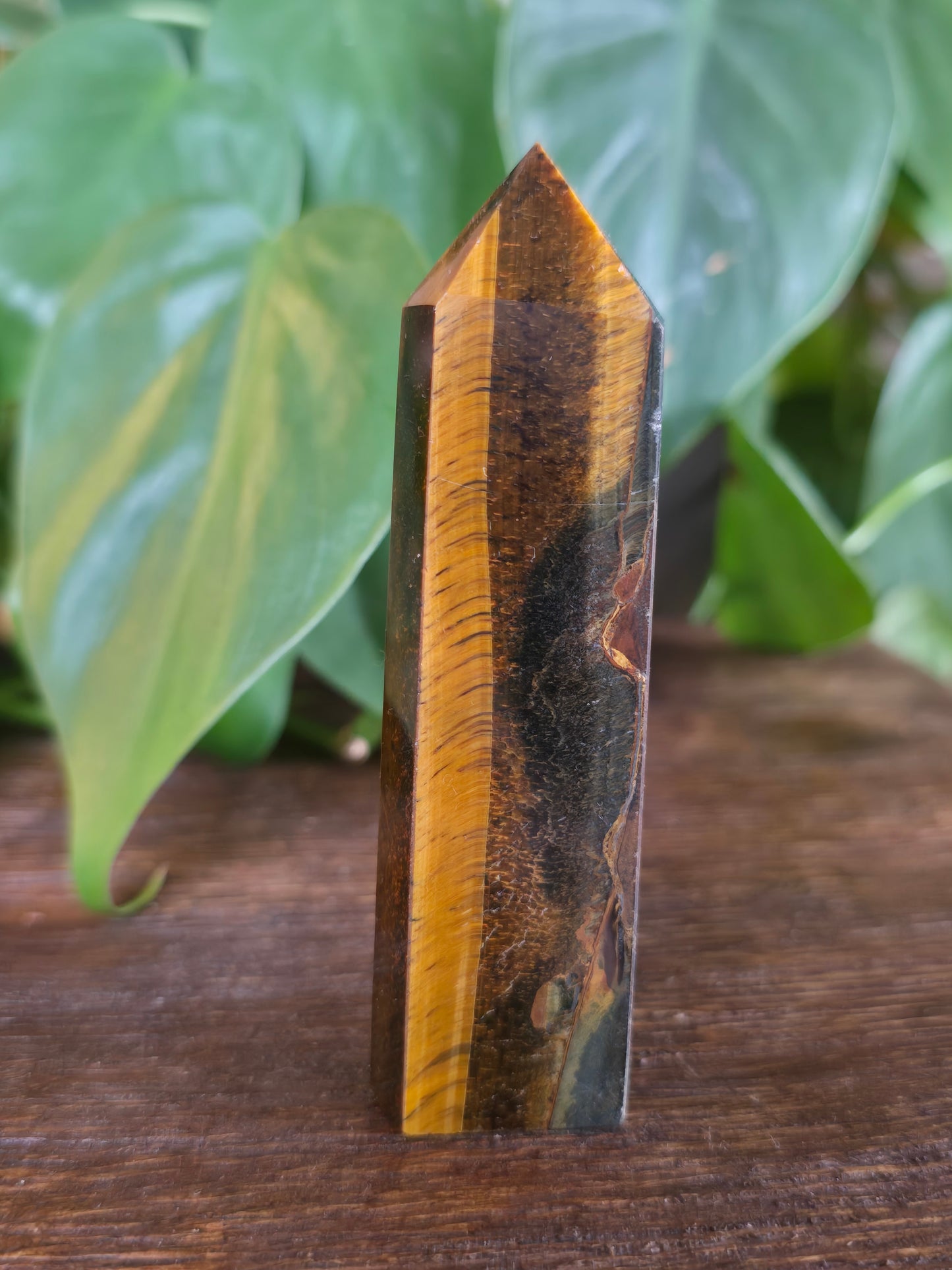 Tiger's Eye Tower "B"