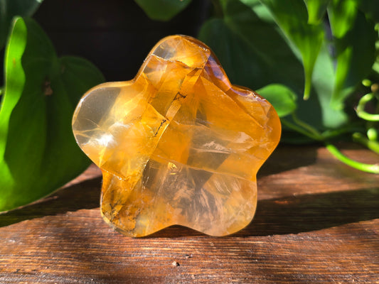 Golden Healer Flower Carving "F"