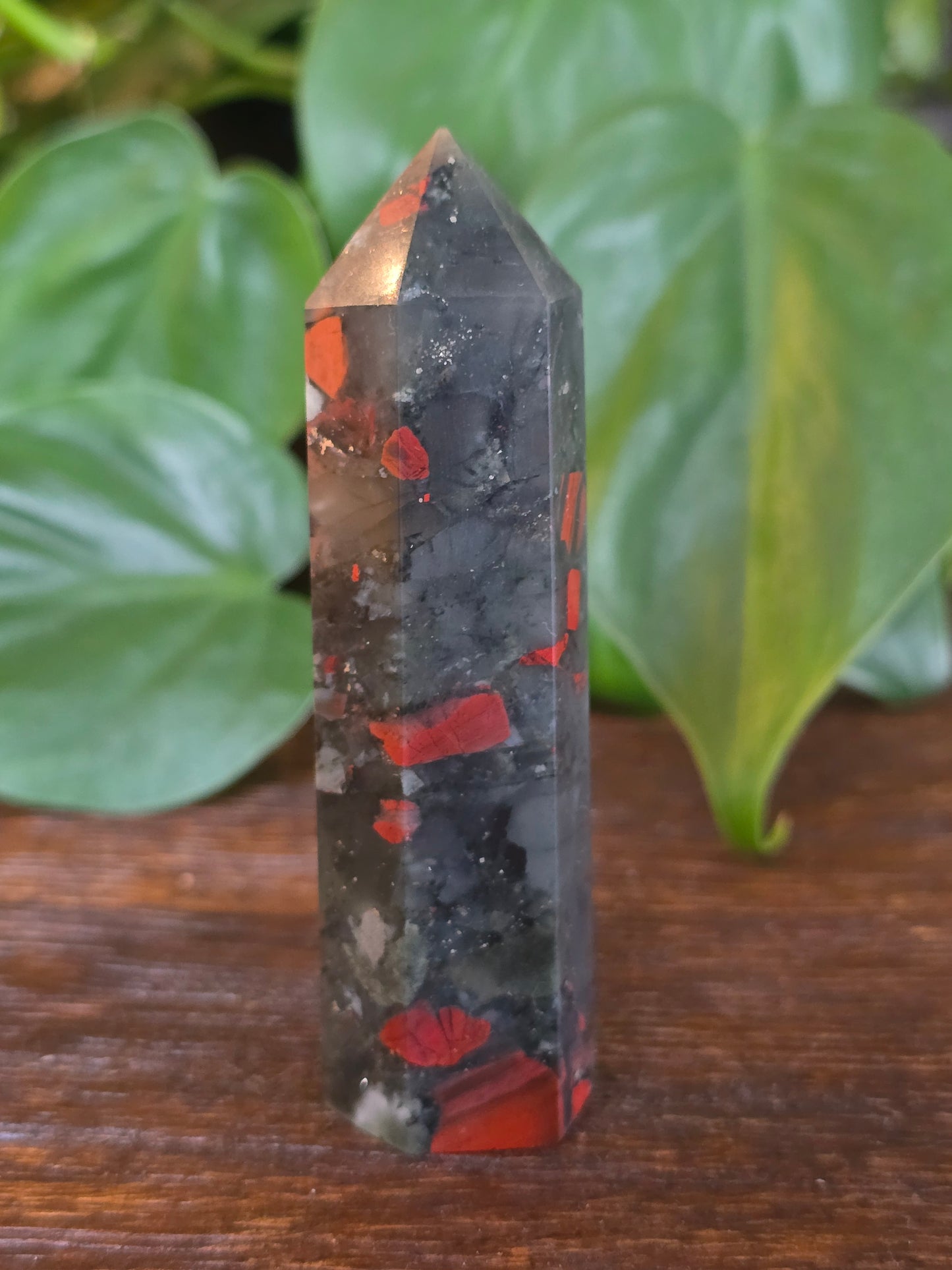 African Bloodstone Point "E"
