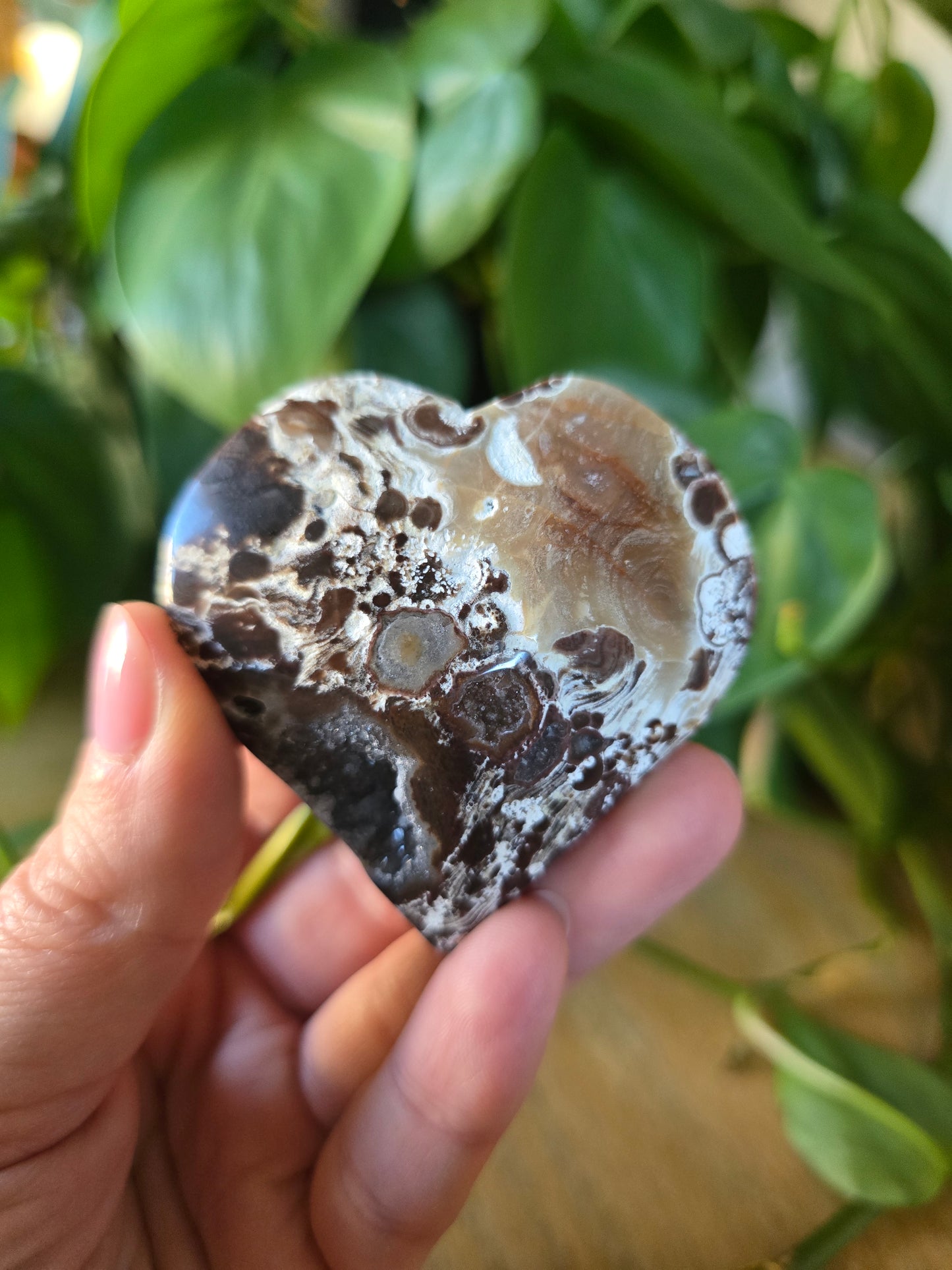 Money Agate Heart