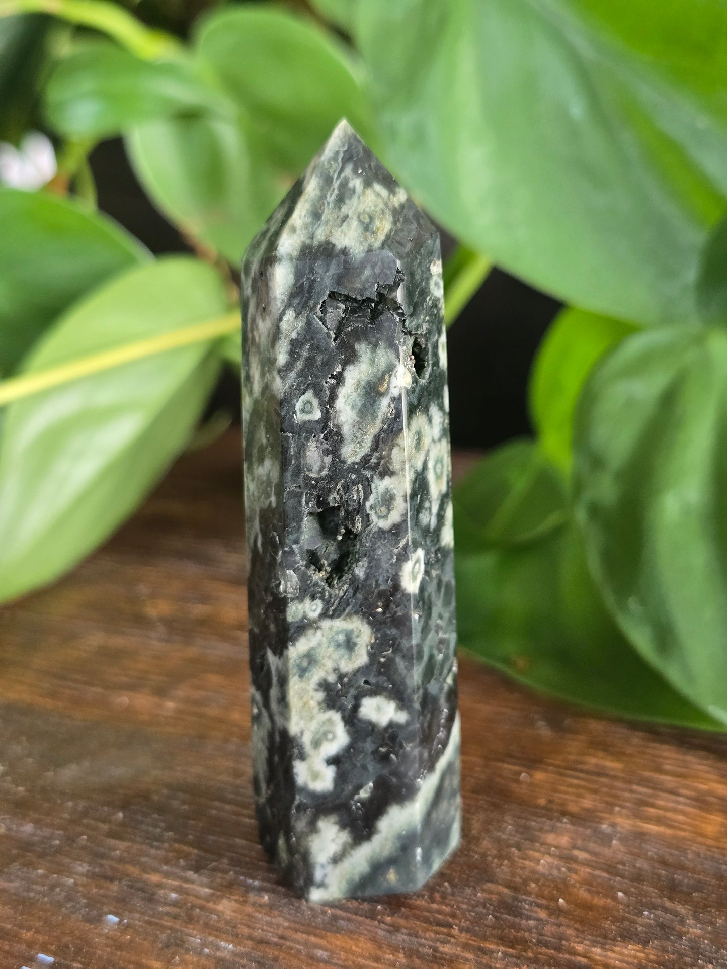 Green Ocean Jasper Tower "D"