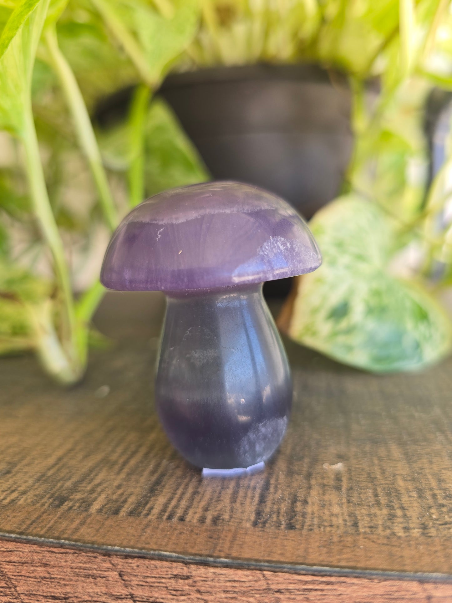 Fluorite Mushroom