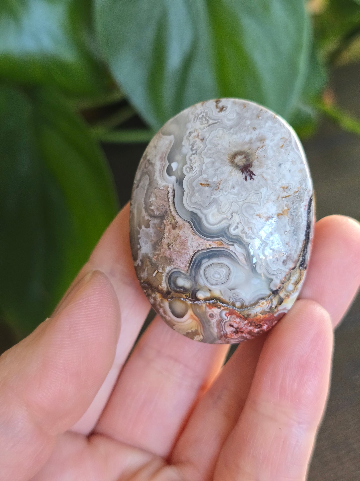 Red Mexican Crazy Lace Agate Palm Stone