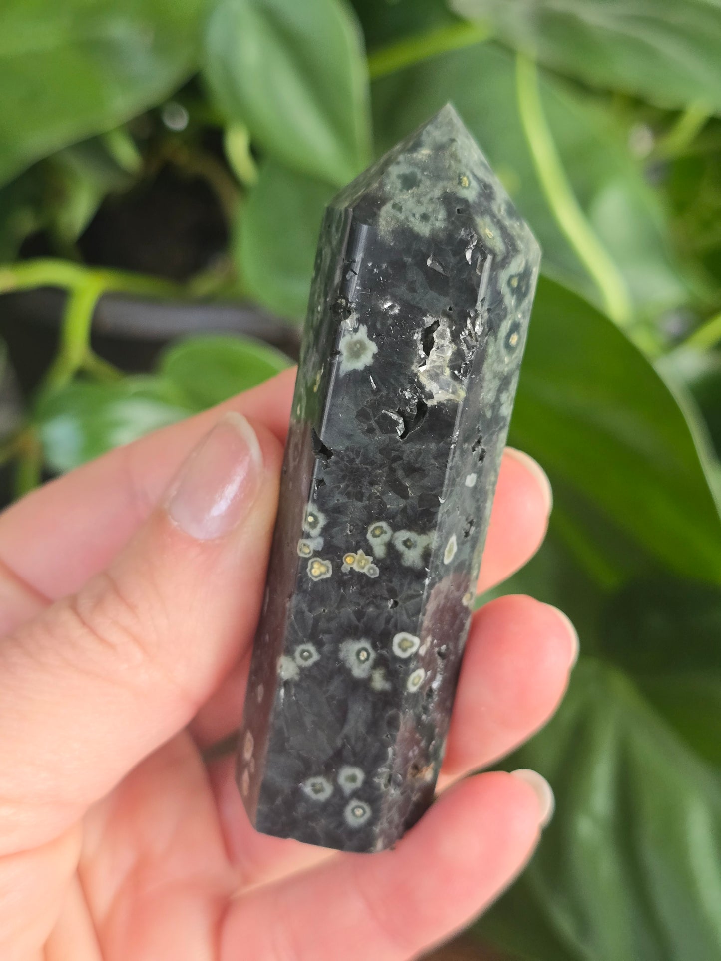 Green Ocean Jasper Tower "E"