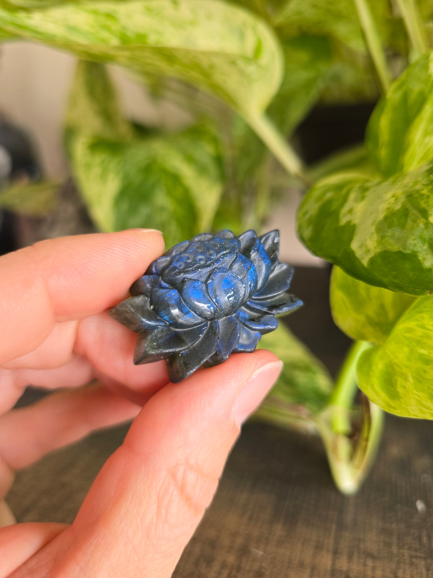 Labradorite Lotus Carving