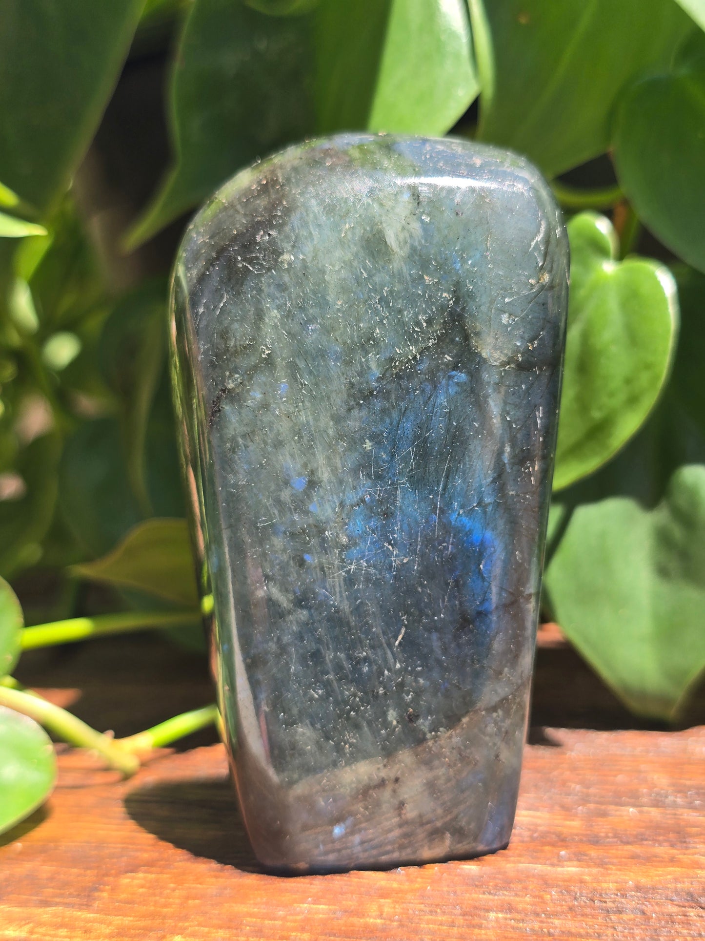 Labradorite Crystal Free Form Carving "E"