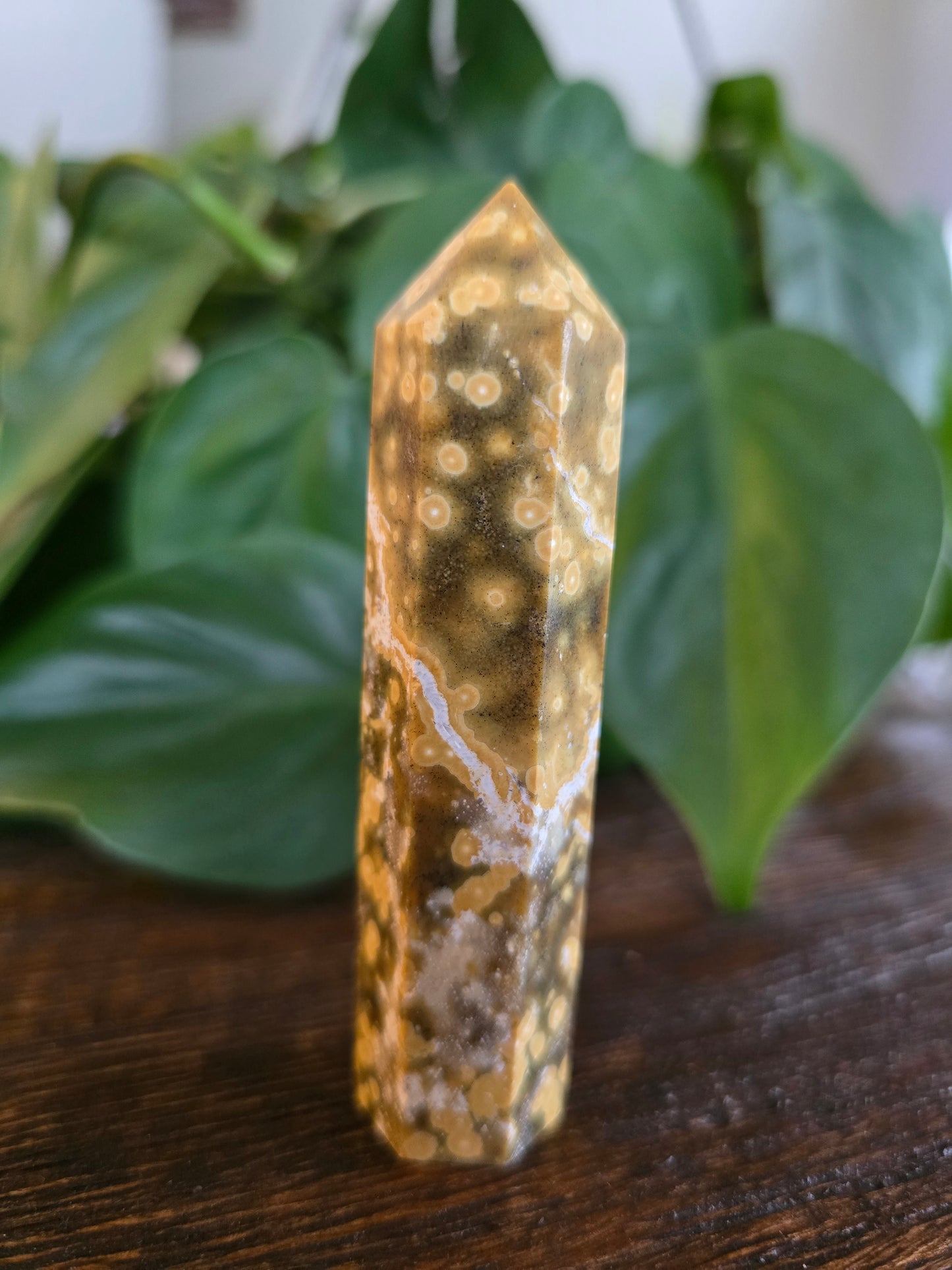 Ocean Jasper Tower "A"