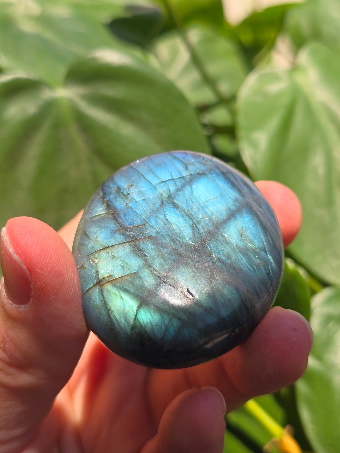 Labradorite Palm Stone "I"