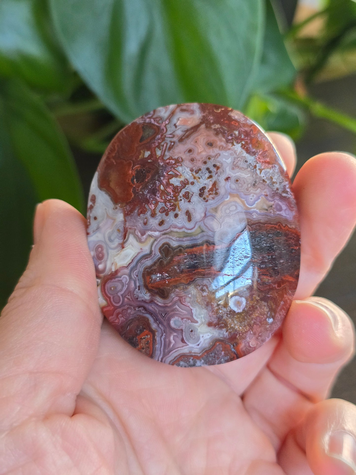 Red Mexican Crazy Lace Agate Palm Stone