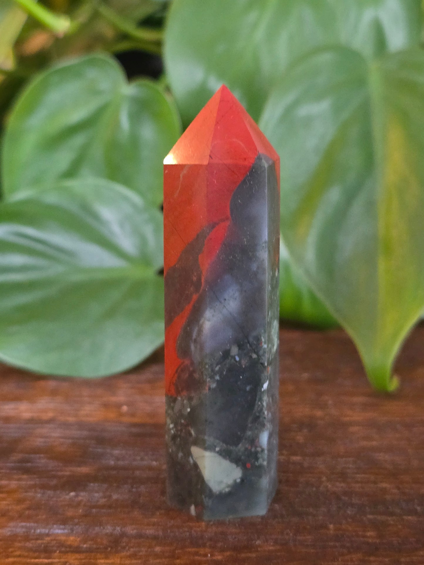 African Bloodstone Point "F"