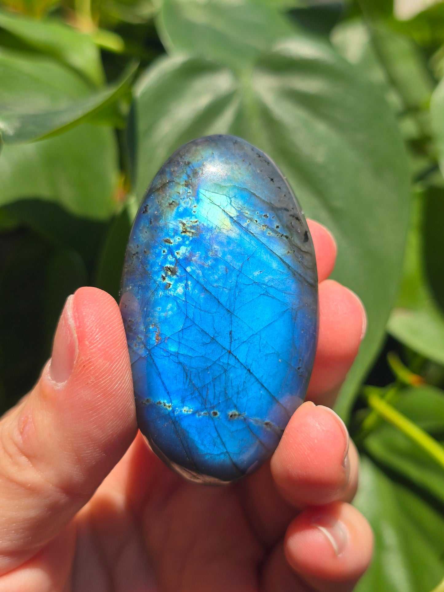 Labradorite Palm Stone "C"