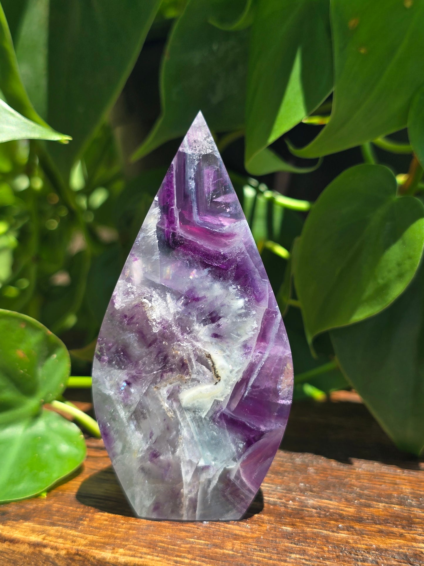Rainbow Fluorite Flipper "D"
