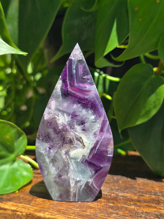 Rainbow Fluorite Flipper "D"