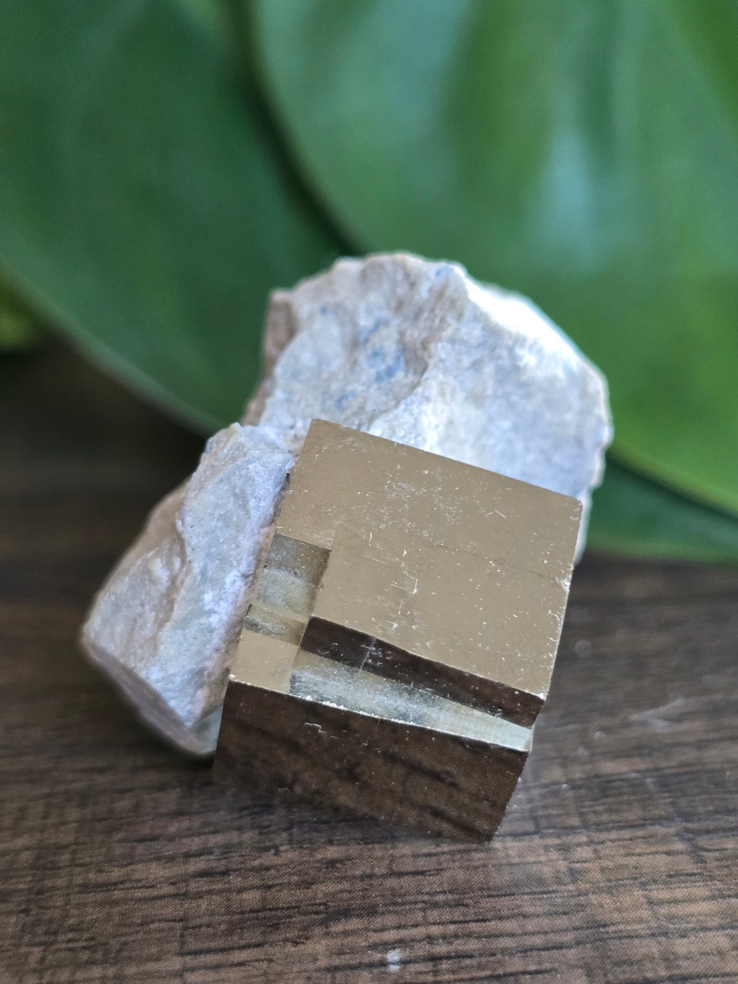 Pyrite Cube on Host Stone