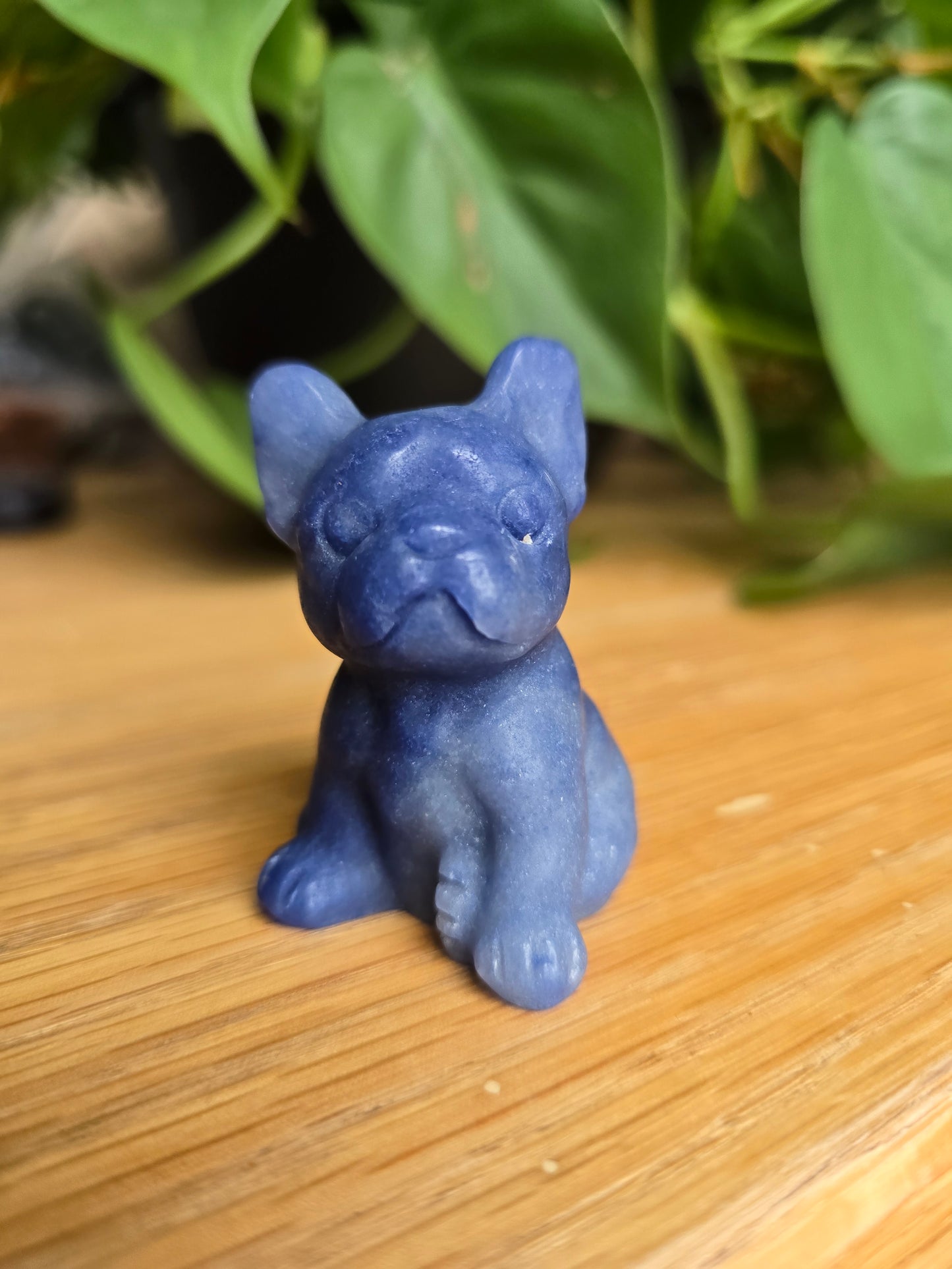 Blue Aventurine French Bulldog