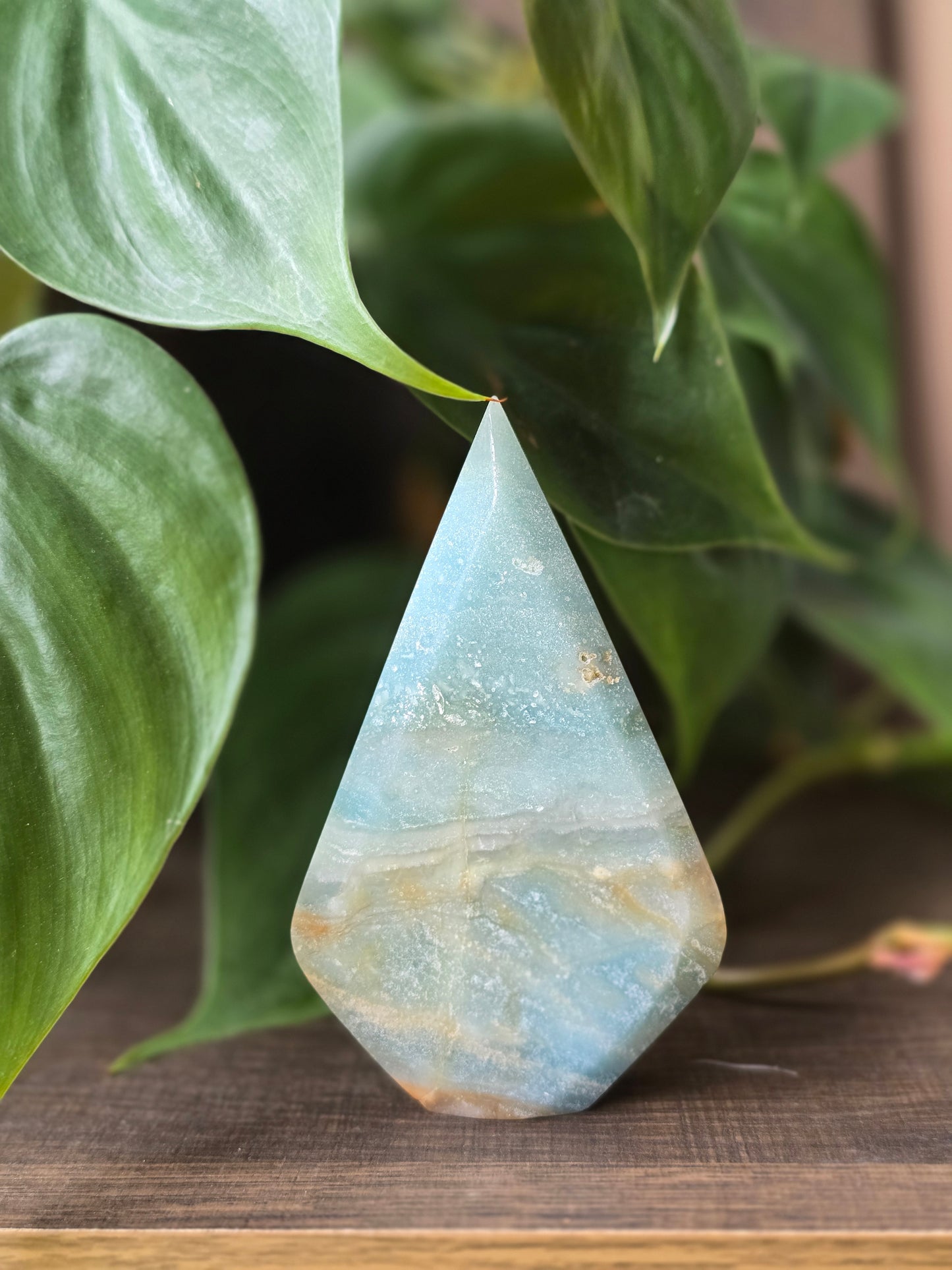 Caribbean Calcite Flipper