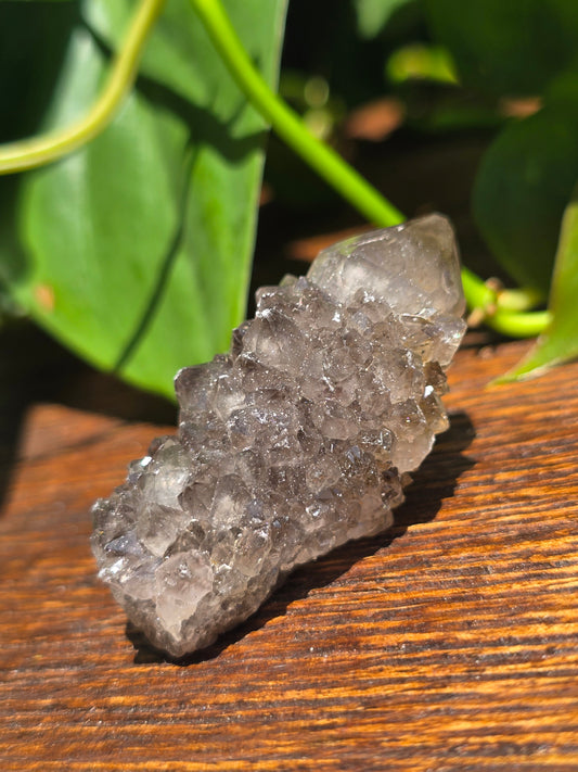 Smoky Black Spirit Quartz Specimen "A"