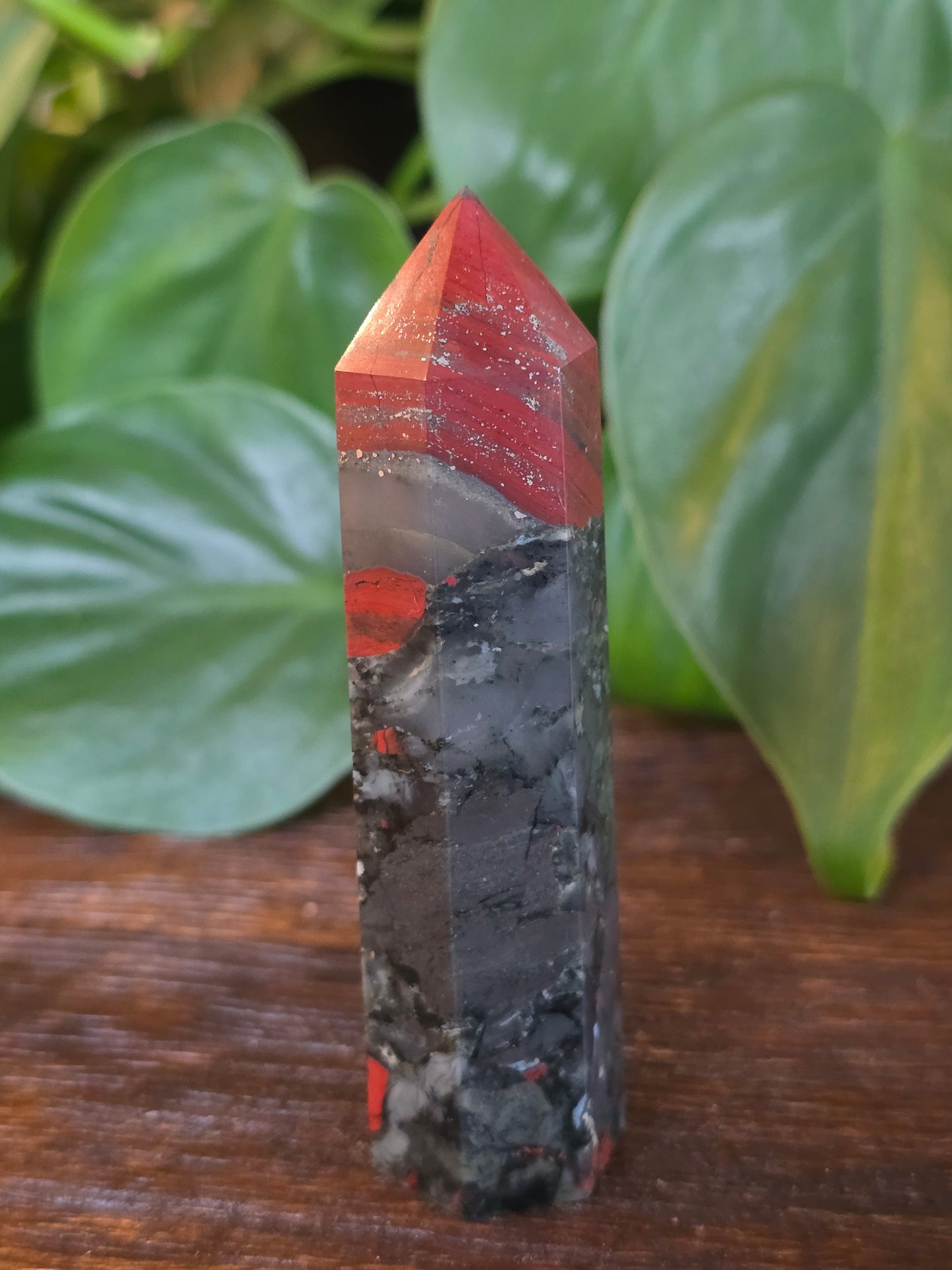 African Bloodstone Point "M"