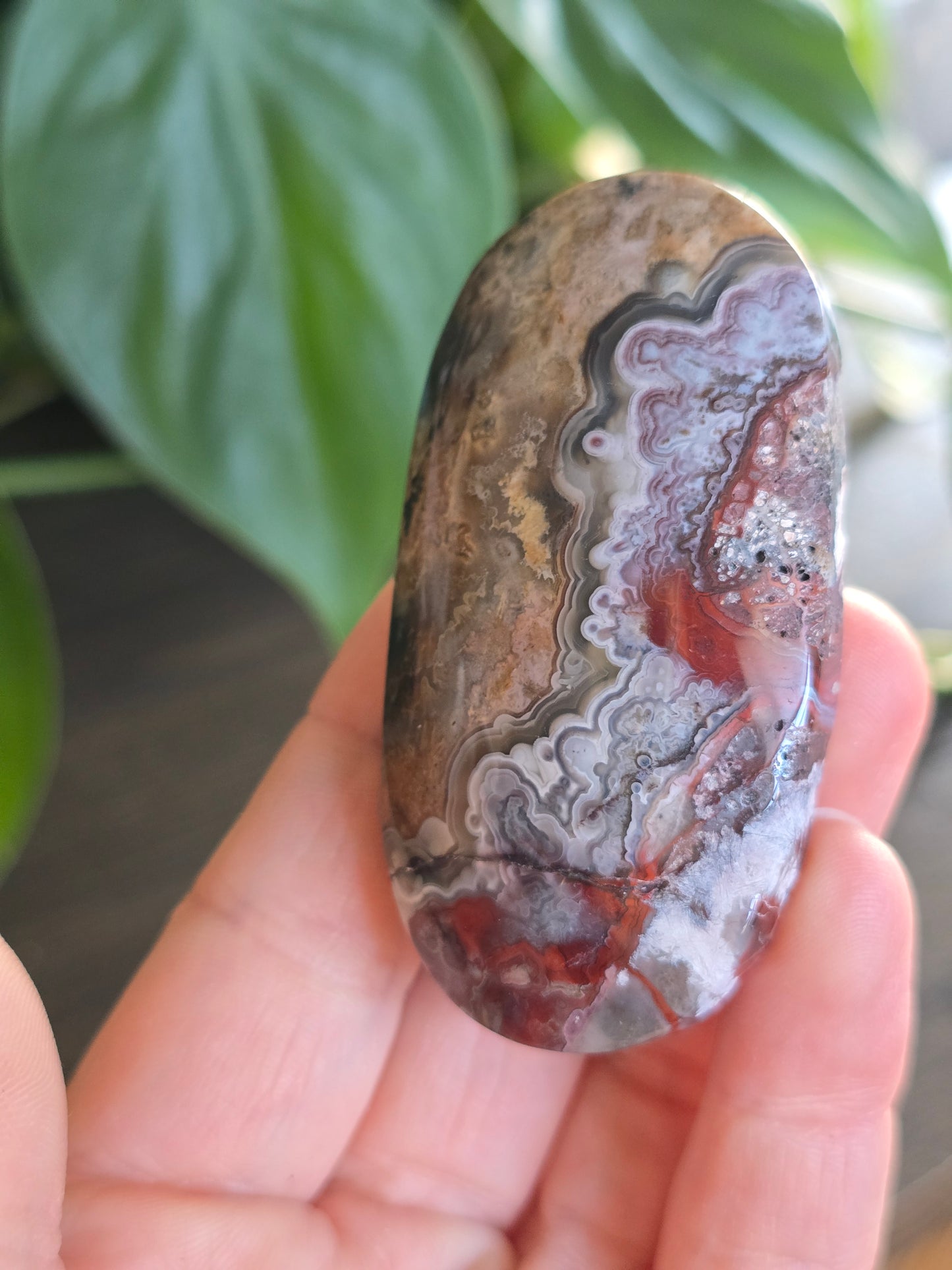 Red Mexican Crazy Lace Agate Palm Stone