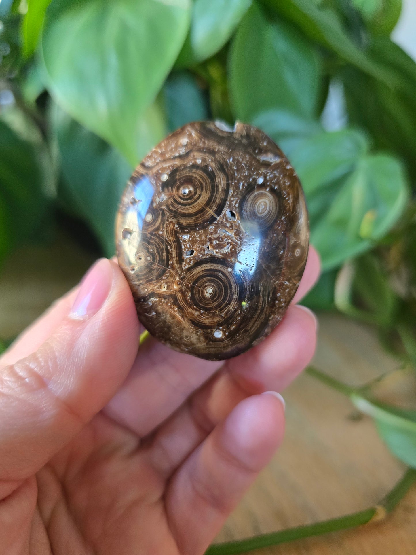 Chocolate Calcite Palm Stone