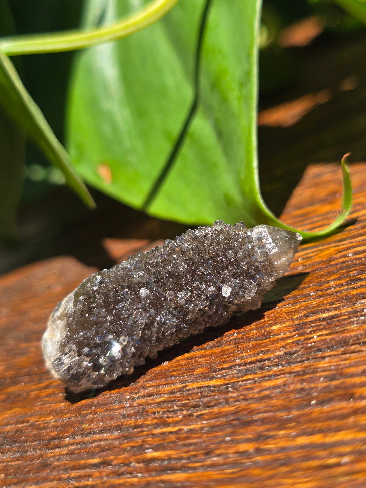 Smoky Black Spirit Quartz Specimen "H"