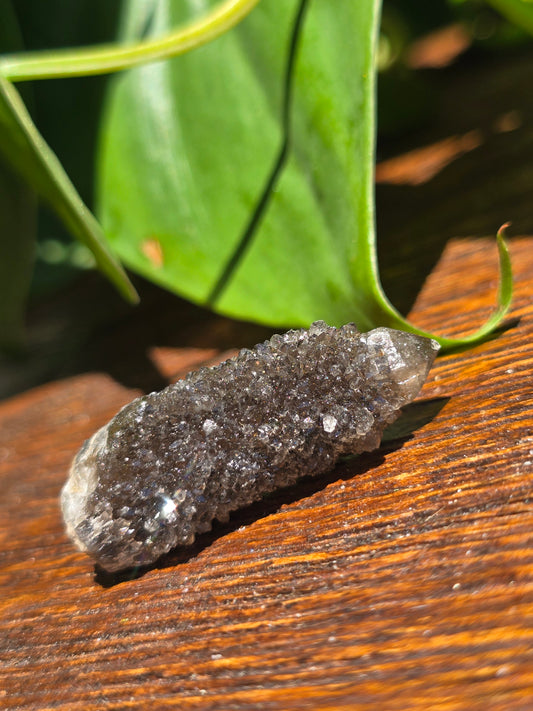 Smoky Black Spirit Quartz Specimen "H"