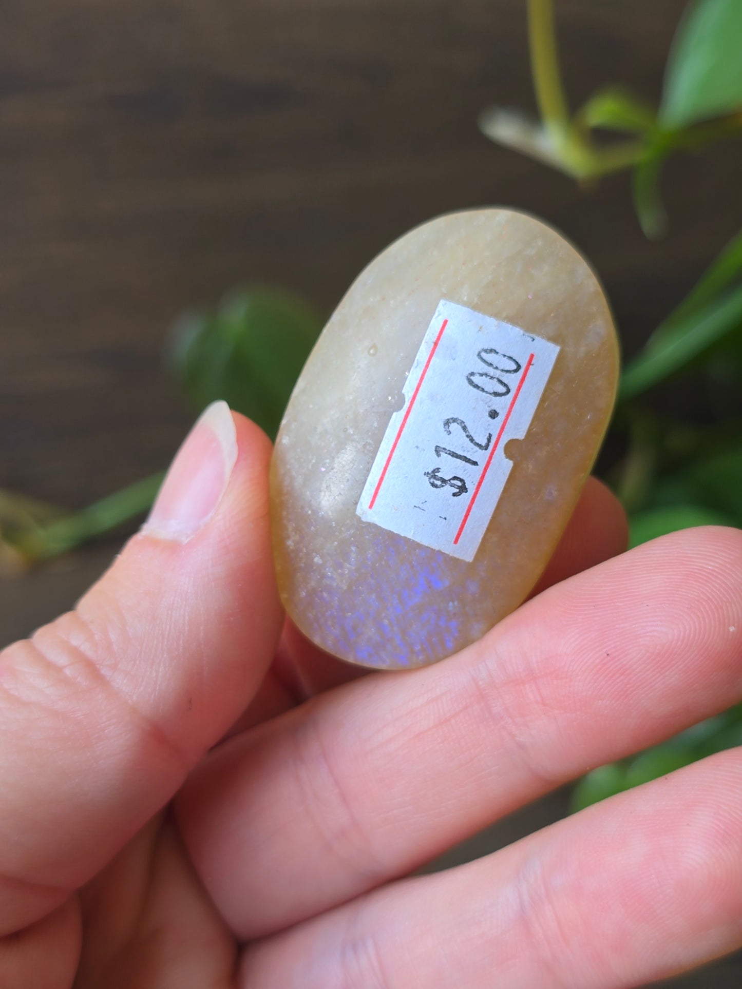 Peach Moonstone Palm Stone