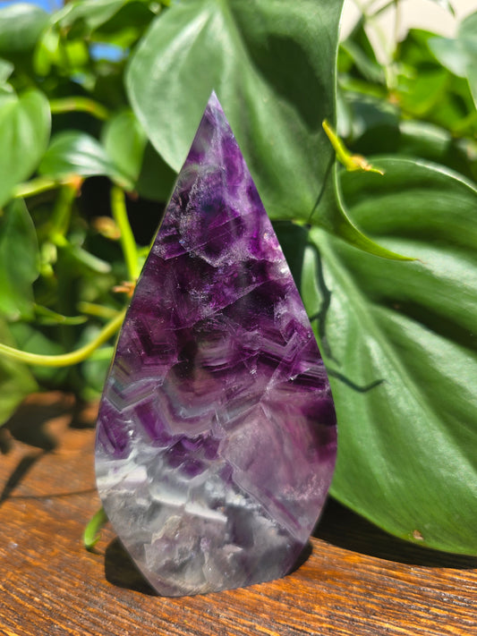 Rainbow Fluorite Flipper "A"