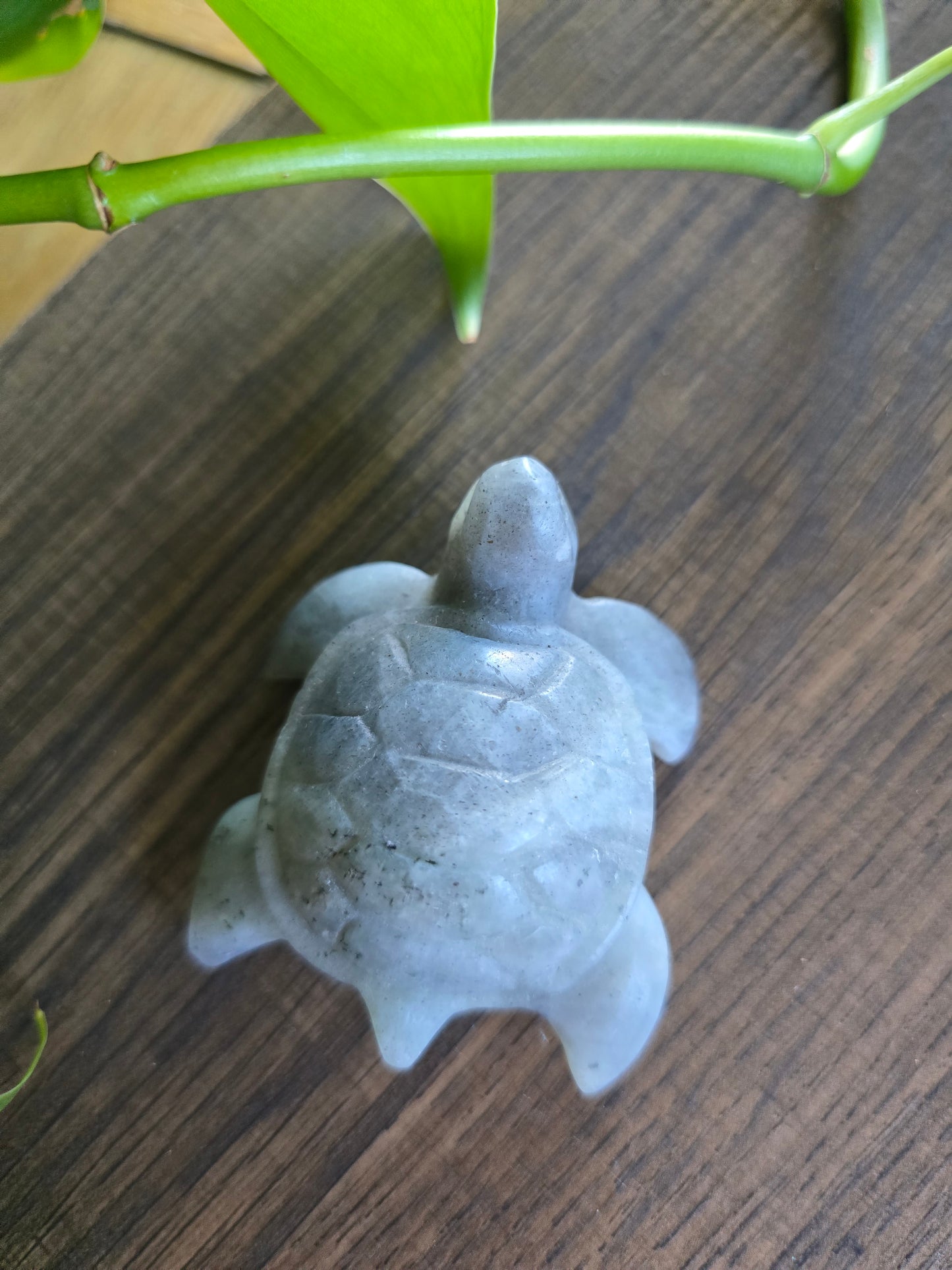 Labradorite Turtle Carving (Low Flash)