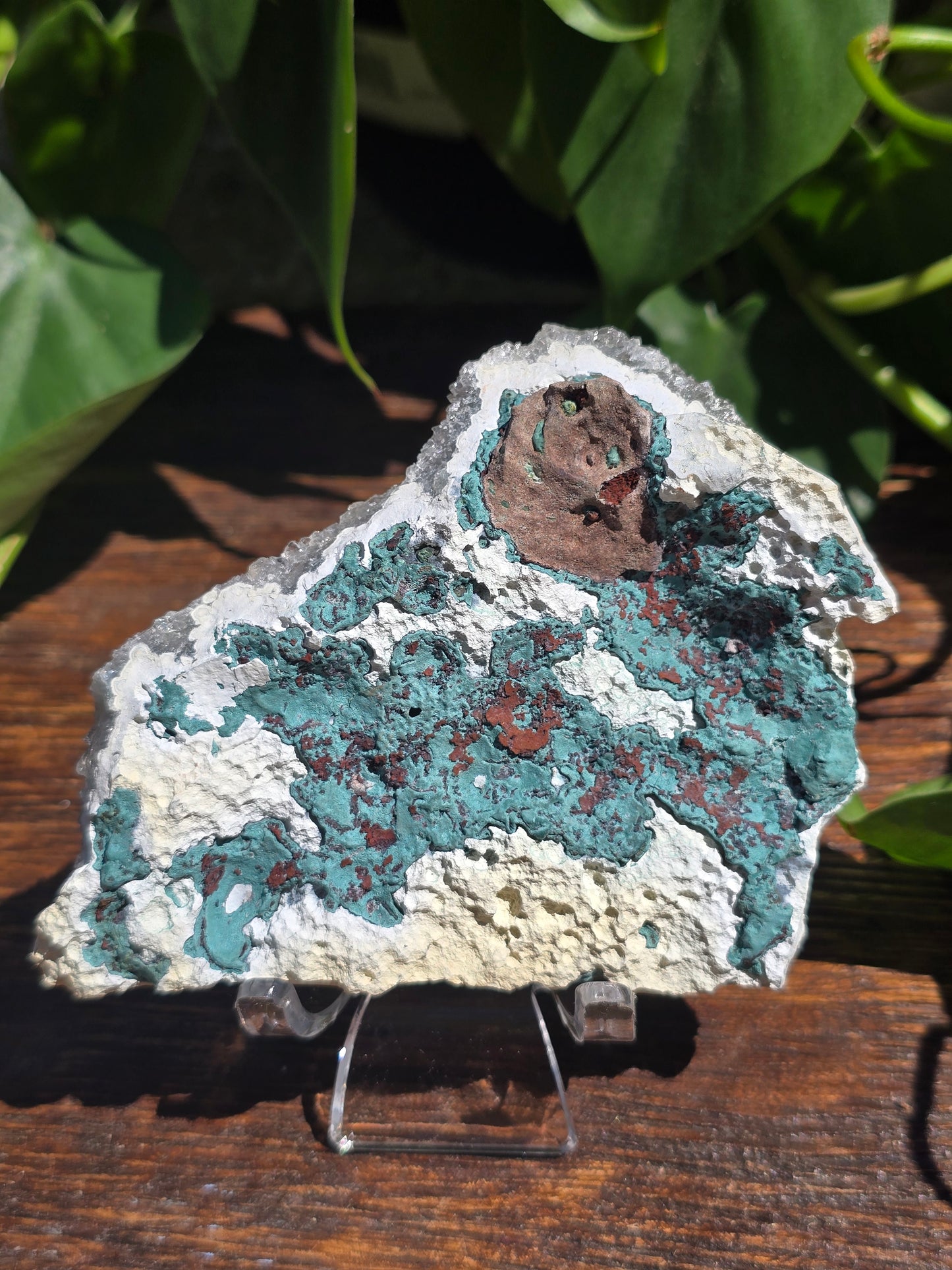 Brazilian Impression Amethyst Plate