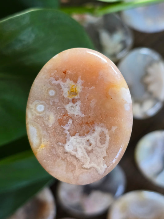 Flower Agate Worry Stone