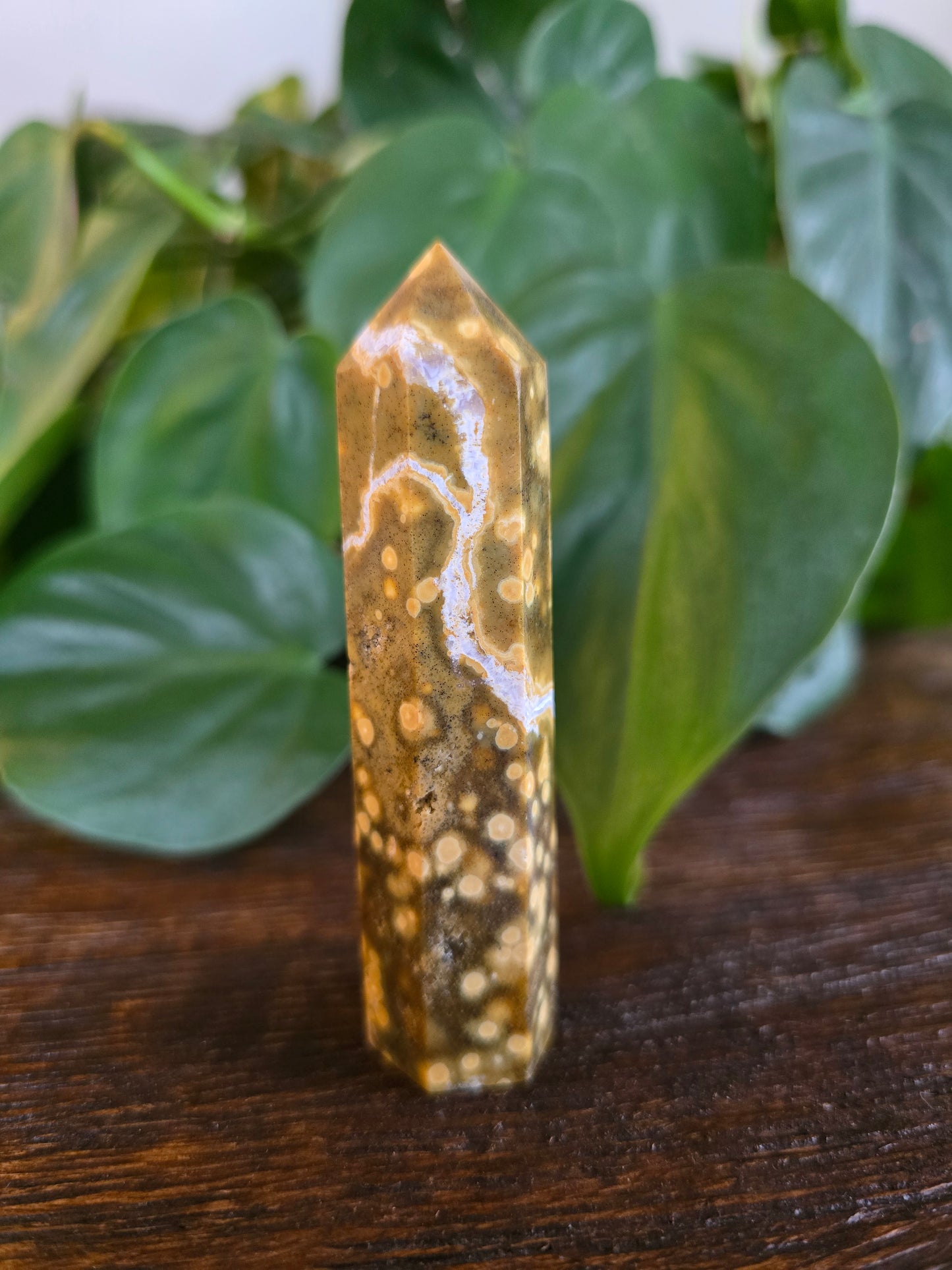 Ocean Jasper Tower "F"