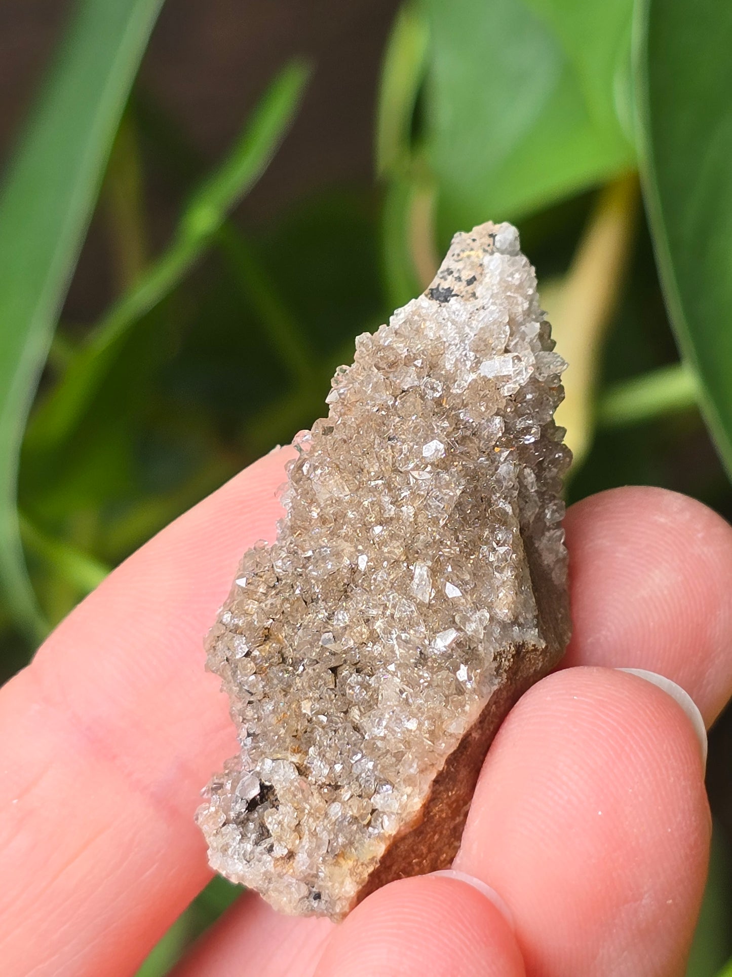 Herkimer Diamond Quartz Cluster