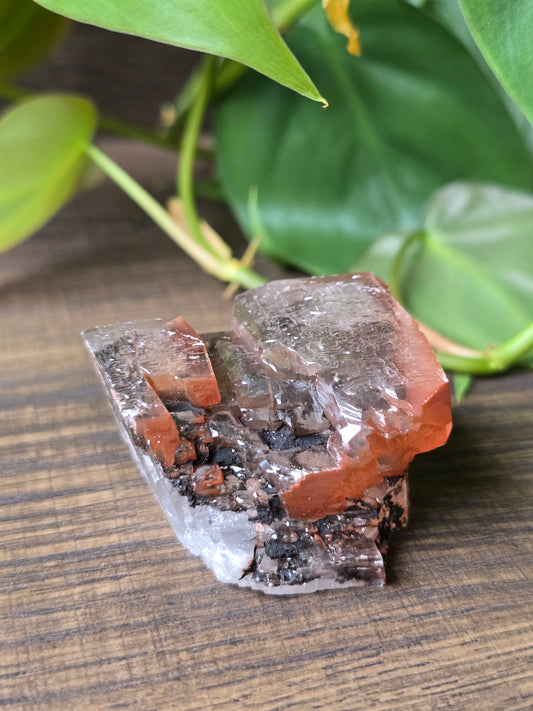 Chocolate Calcite Specimen