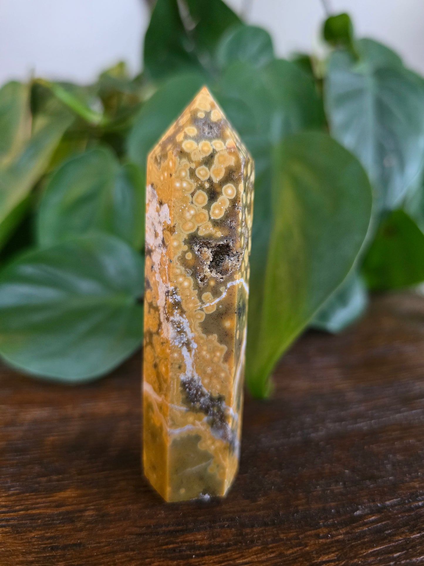 Ocean Jasper Tower "E"