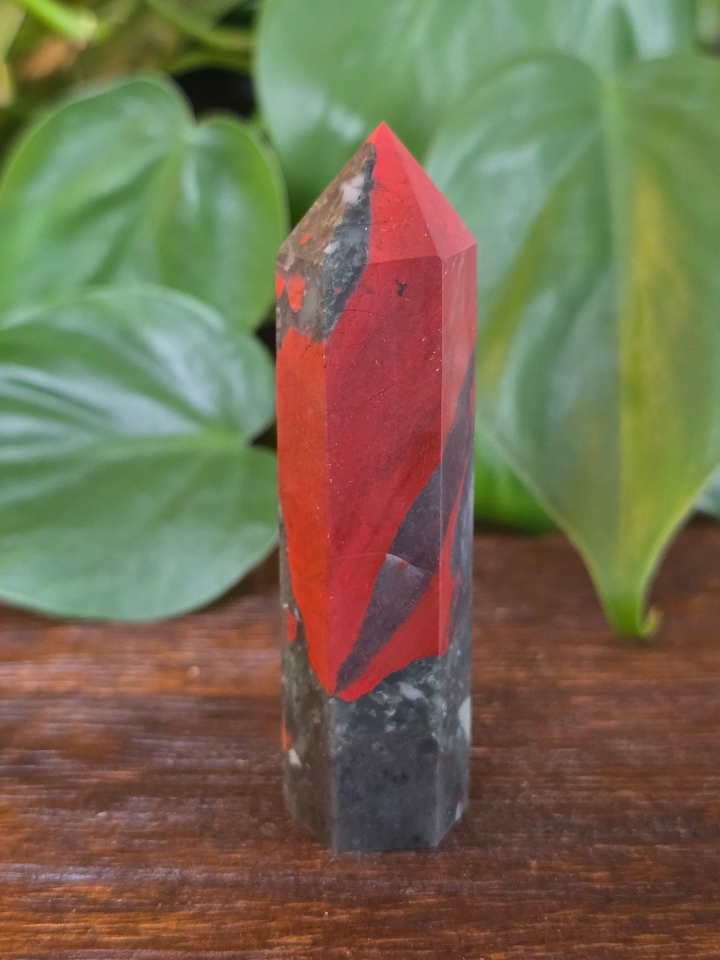 African Bloodstone Point "F"