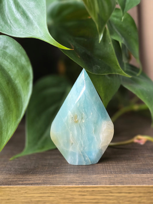 Caribbean Calcite Flipper