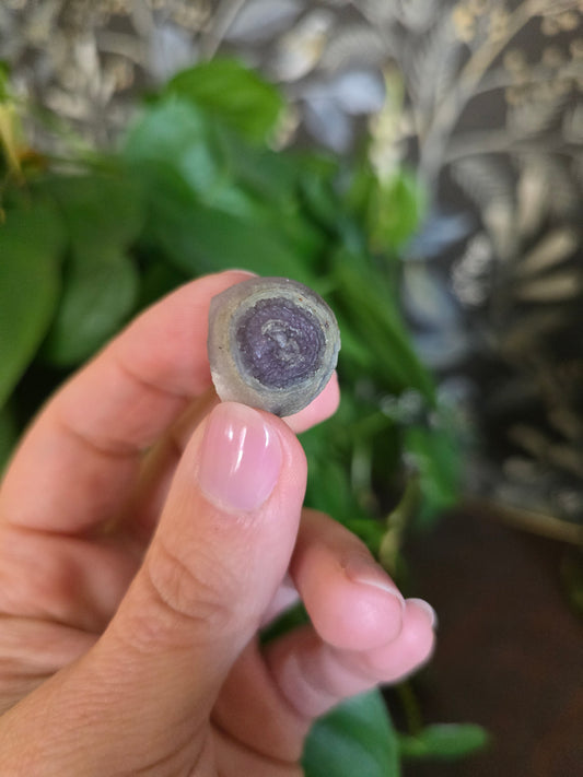 Natural Gobi Agate