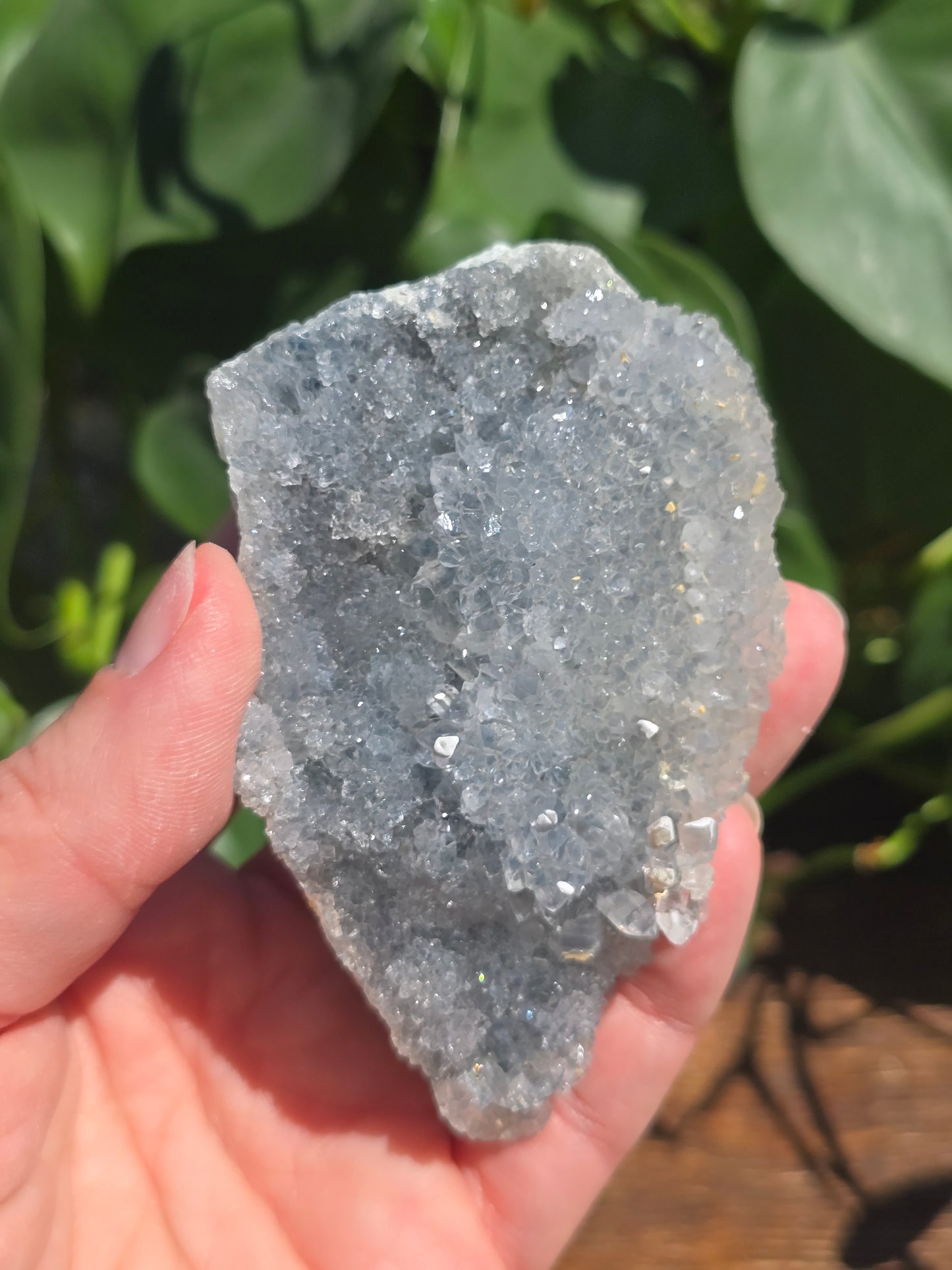 Brazilian Impression Amethyst Plate