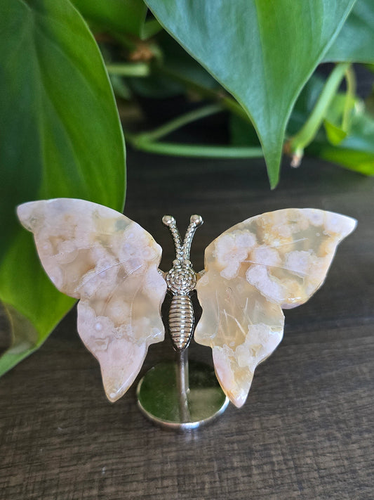 Flower Agate Butterfly Wings