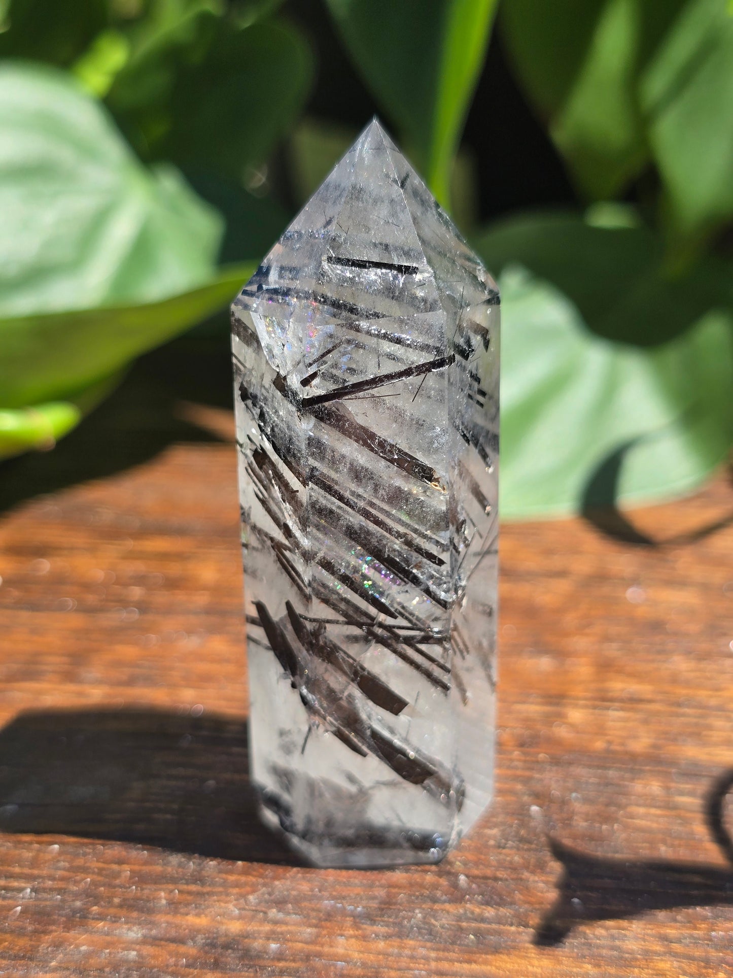 Black Tourmaline in Quartz Point "A"