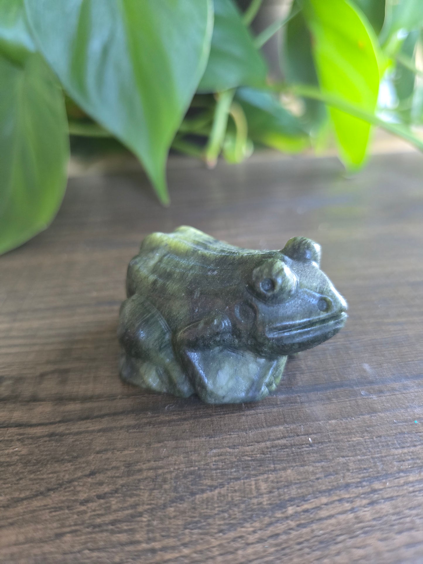 Serpentine Frog Carving