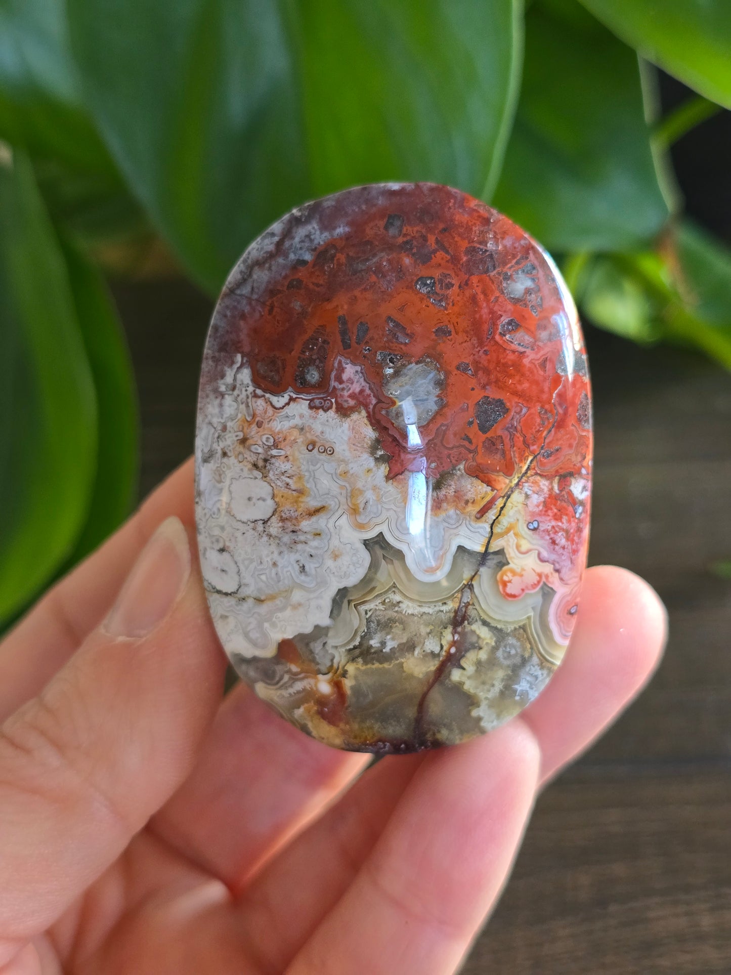 Red Mexican Crazy Lace Agate Palm Stone