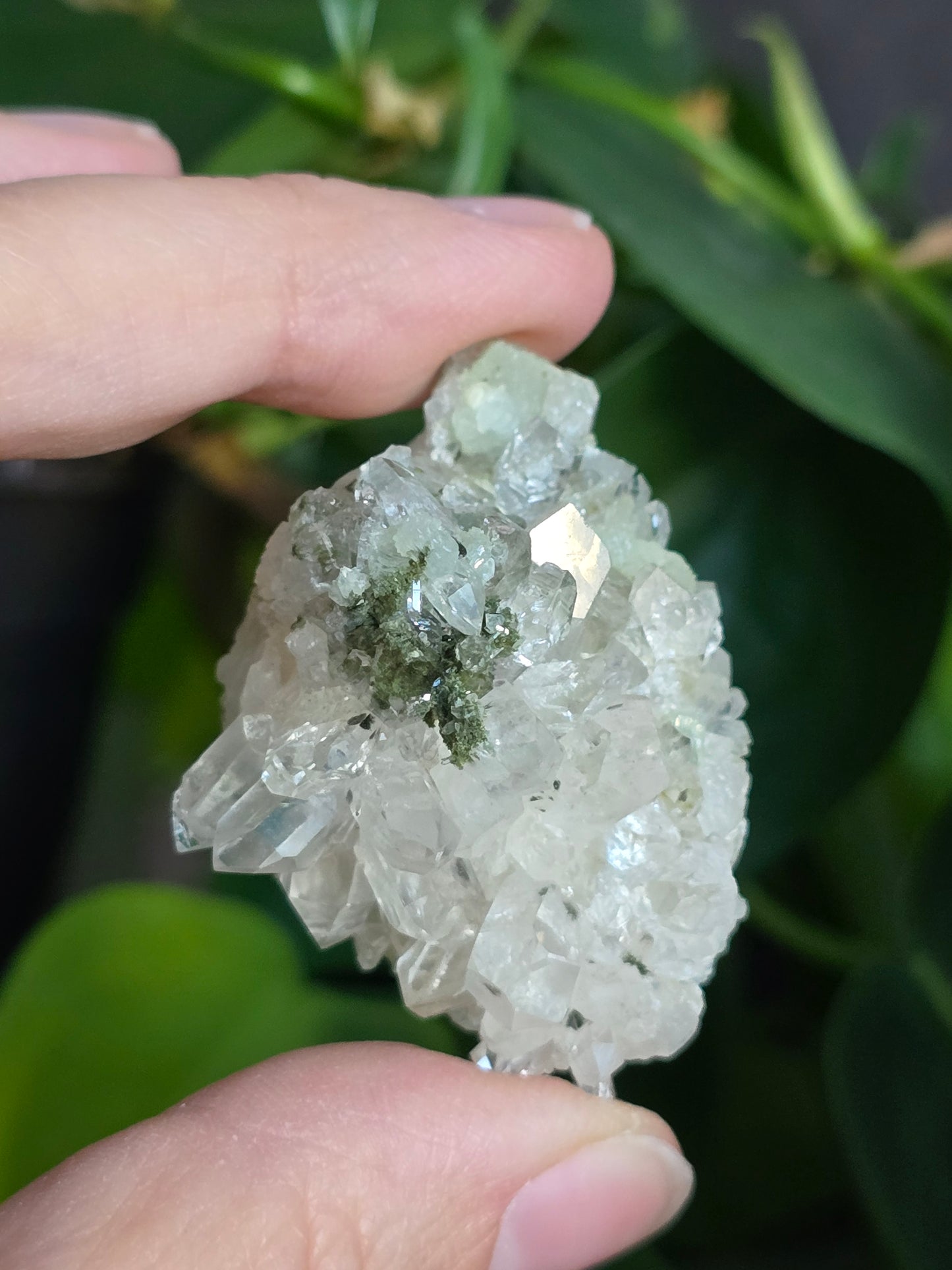 Prehnite and Epidote on Quartz Matrix