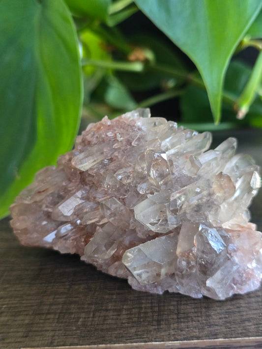 Smoky Quartz Cluster