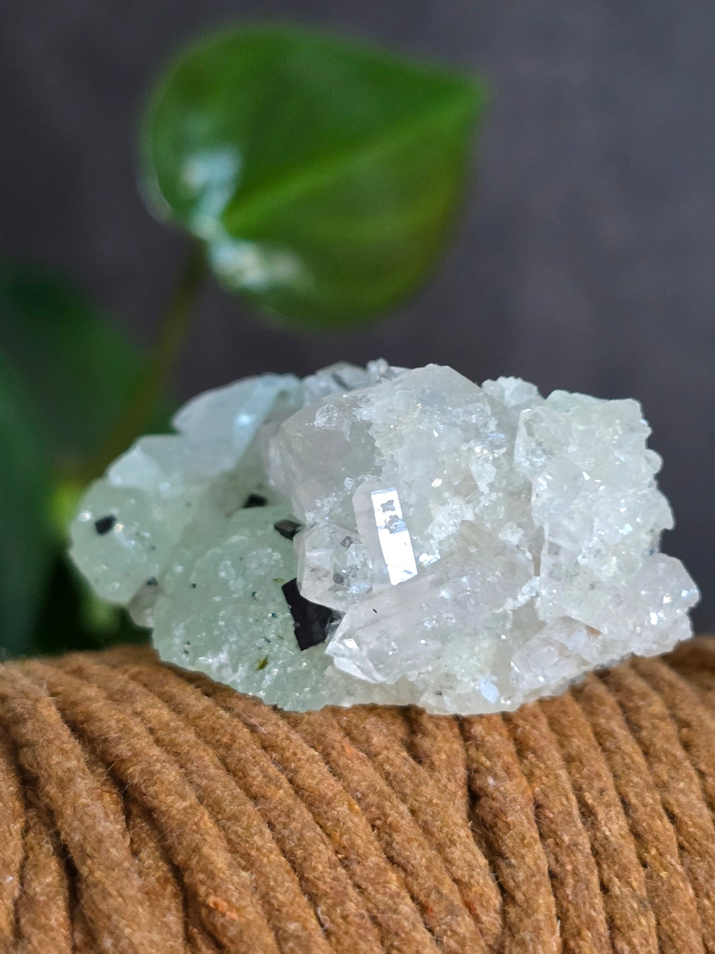 Prehnite and Epidote on Quartz Matrix