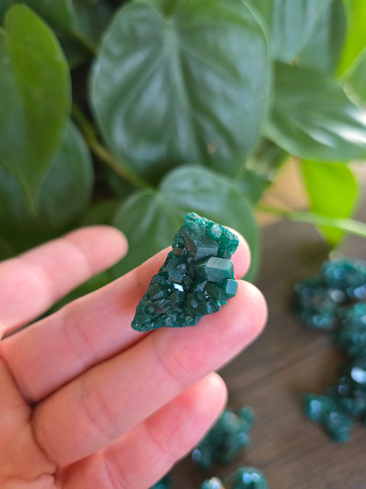 Dioptase Rough Specimen - Congo (17)