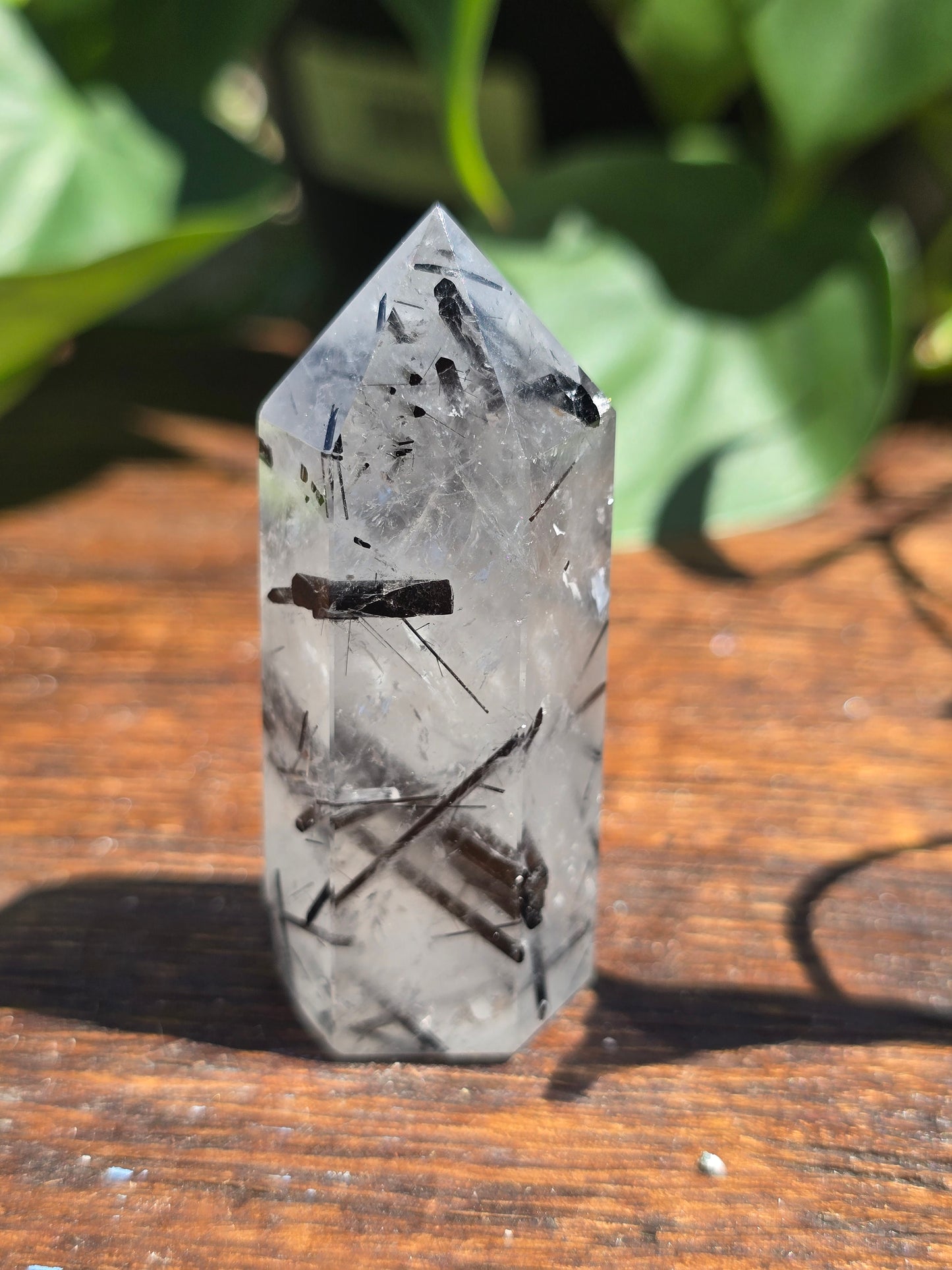 Black Tourmaline in Quartz Point "C"