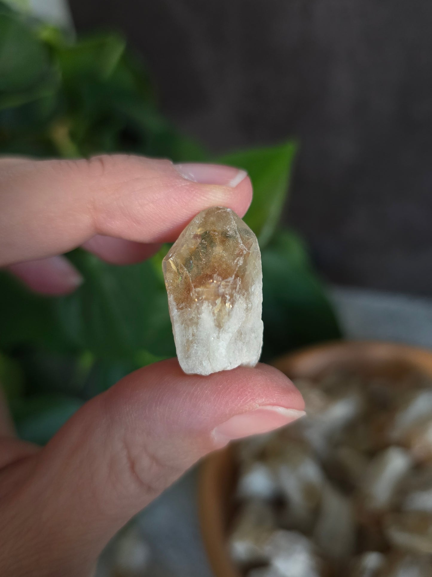 Citrine (HTA) Tooth