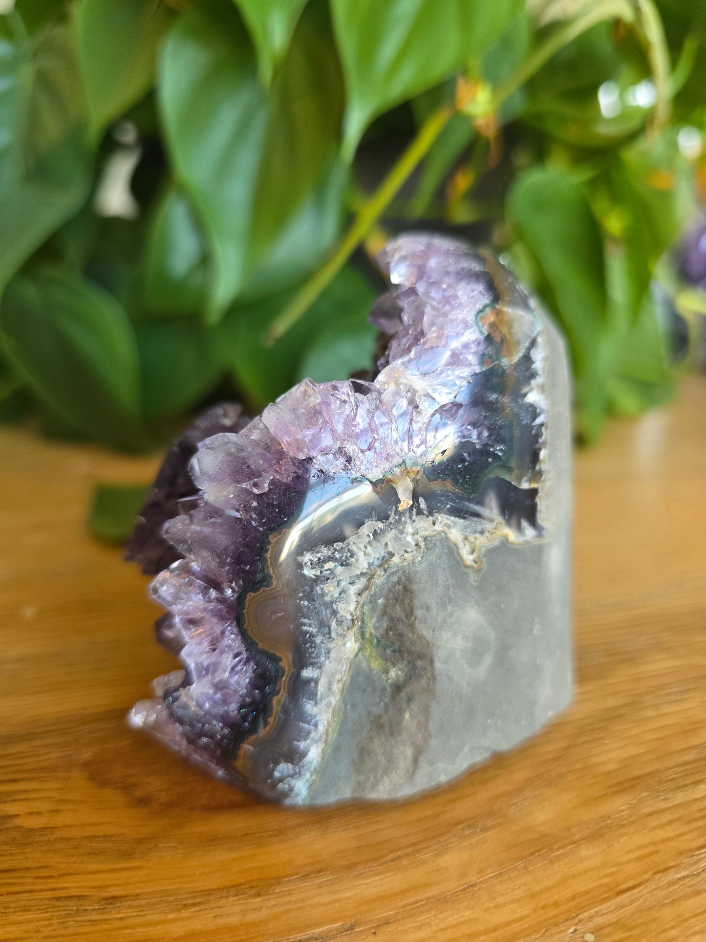 Druzy Amethyst Cluster With Flower